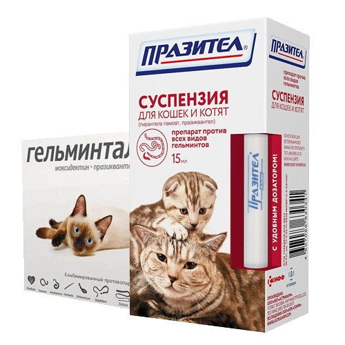 Тестовая категория корма